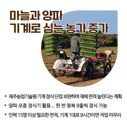 49.1분뉴스_이제는기계로,재배면적점차확대 2.jpg