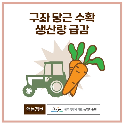 7.카드뉴스_당근생산량급감 1 (1).jpg