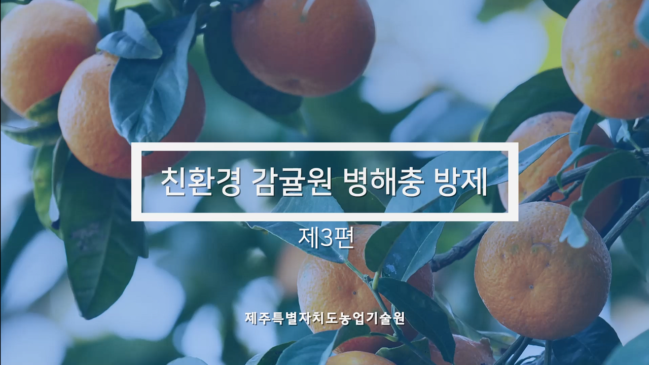 친환경 감귤원 병해충 방제 (제3편)