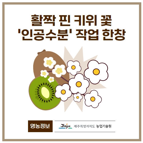 18.1분뉴스_키위꽃인공수분 1.jpg