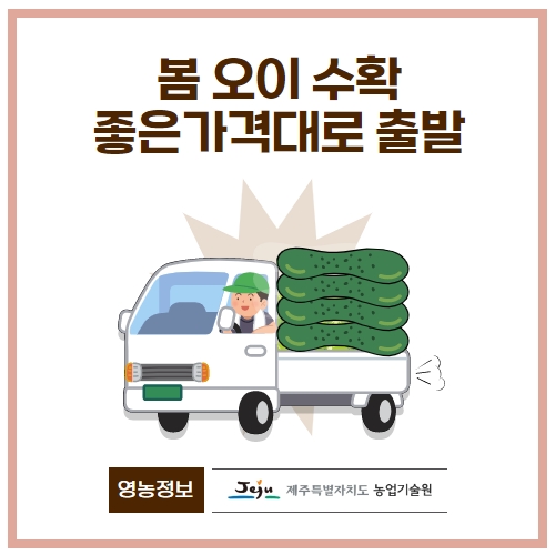 19.1분뉴스_오이 1.jpg