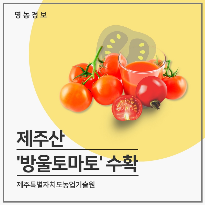 방토1.jpg