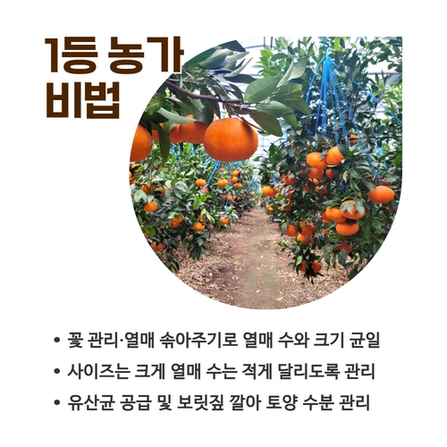 3.카드뉴스_레드향비법 (4).jpg