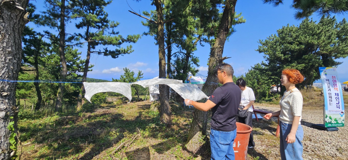 2025년 메밀꽃과 함께하는 천연염색 체험교육