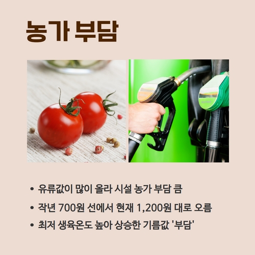 6.카드뉴스_고유가겨울나기 (3).jpg