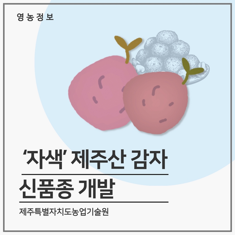 감1.jpg