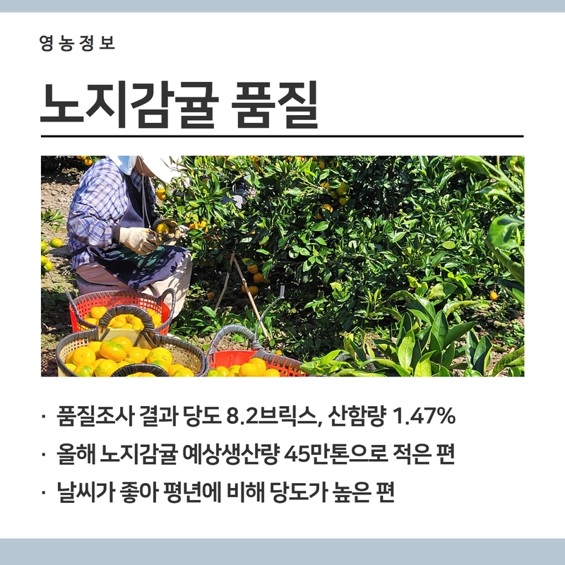 감3.jpg