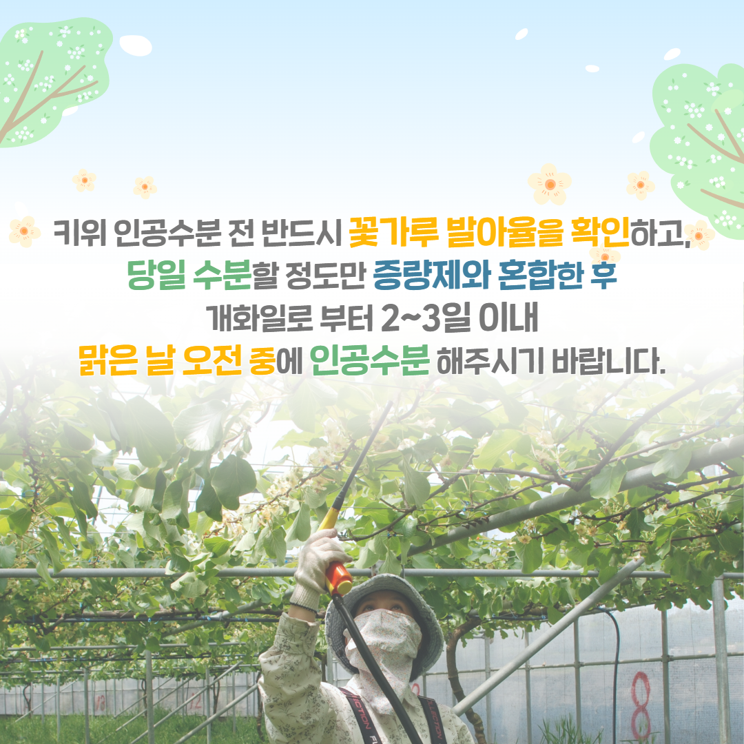 [복사본] 25. 3. 키위 꽃가루 발아율 검사 4.png