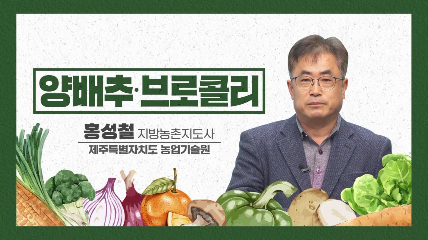 2023년 새해농업인실용교육(양배추)