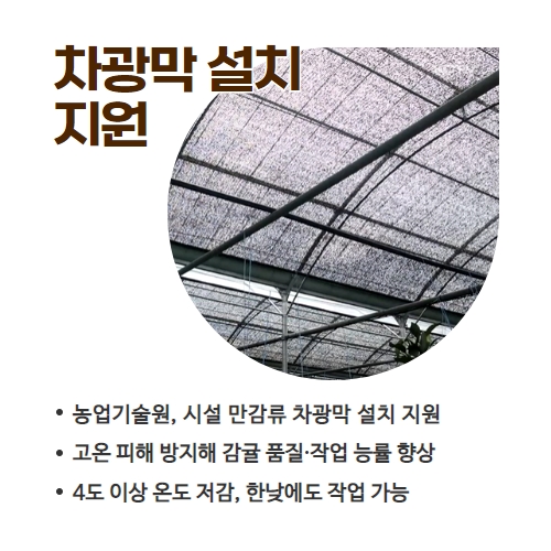 31.1분뉴스_만감류차광막 4.jpg