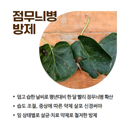 27.1분뉴스_장마철병해충 4.jpg