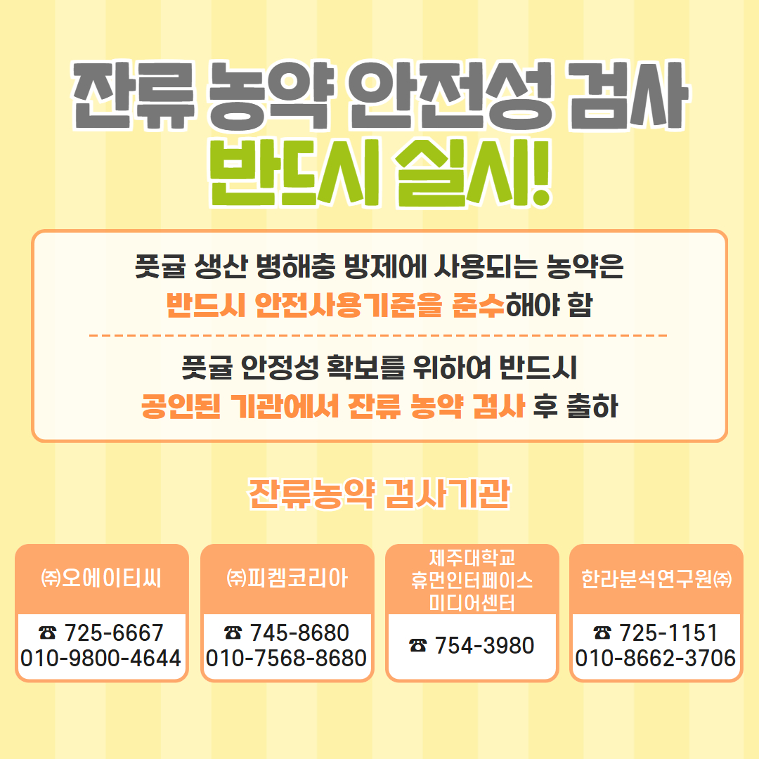 풋귤 생산 및 출하 (4).jpg