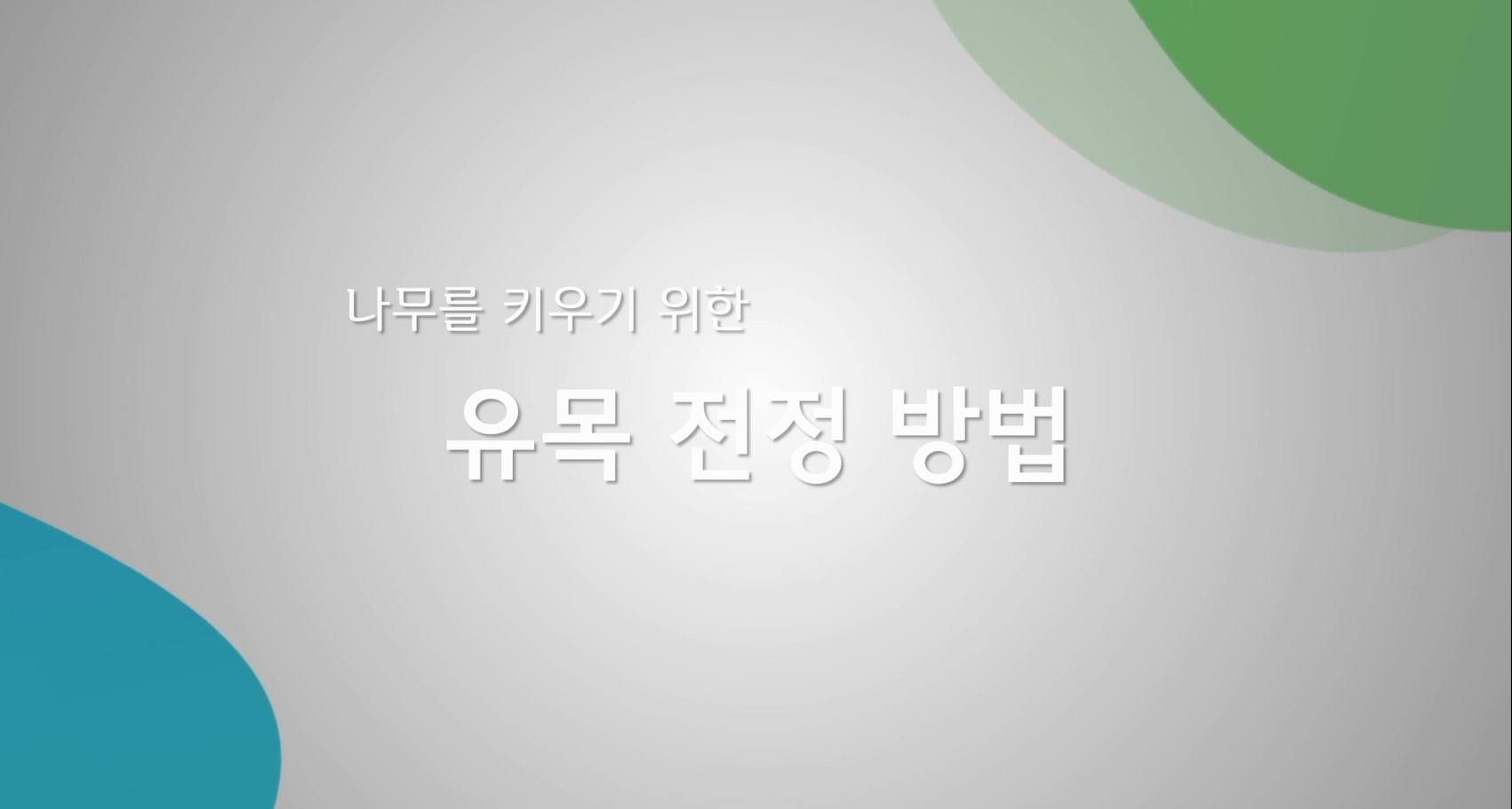 유목 전정 방법