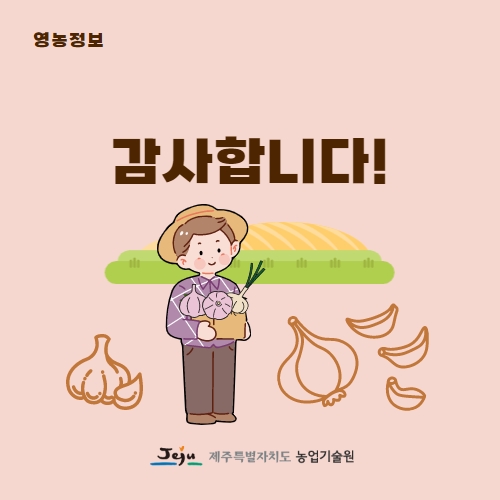  37.1분뉴스_마늘파종시작 5.jpg