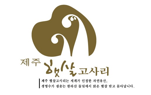 동부지역 -제주햇살고사리-
