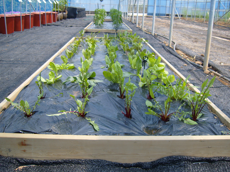 친환경농업 체험관