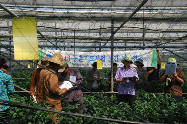 2013년도 농촌지도시범사업 중간평가회