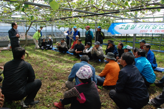 키위재배기술 컨설팅실시