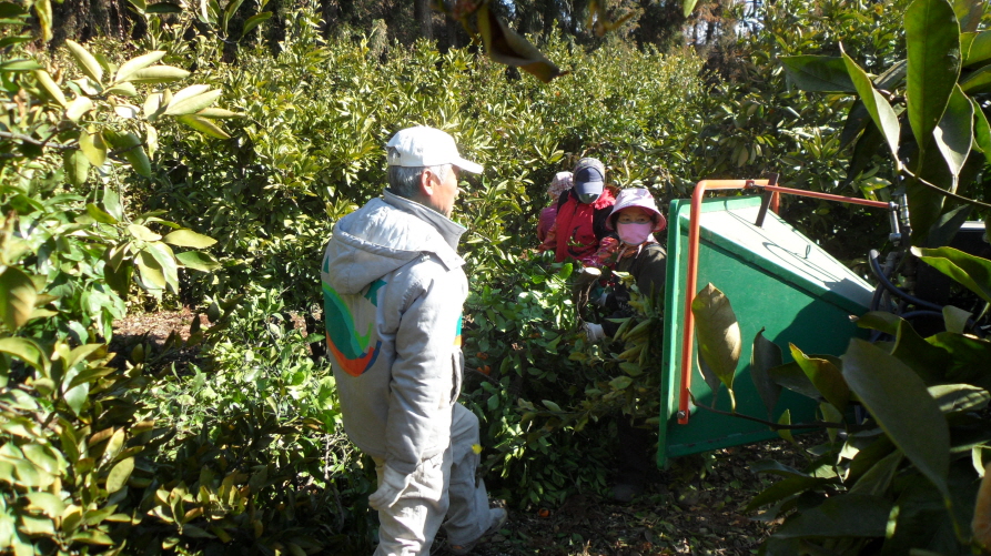 농업인 단체 간벌봉사활동