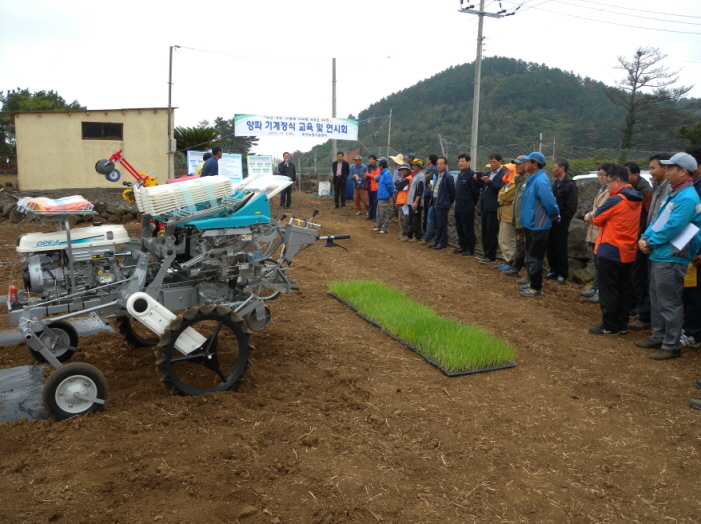양파 기계정식 연시회 개최
