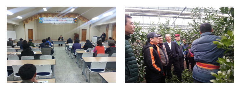 서귀포시 한라봉 연구회원 총회 및 한라봉 재배교육