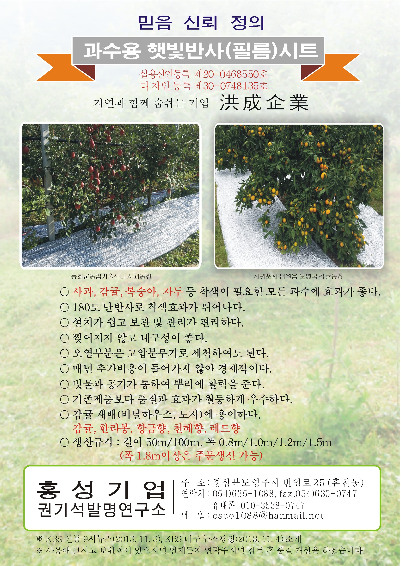 밀감 농사 착색 반사(필름)시트
