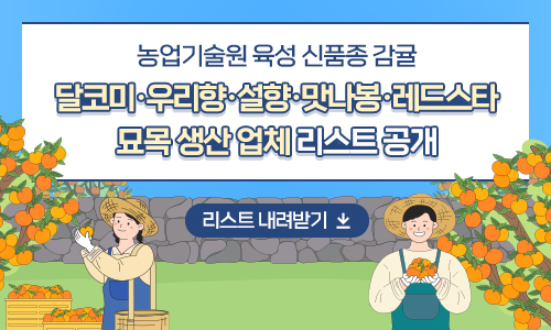 신품종감귤 묘목 생산 종묘 업체 리스트